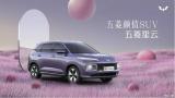 將于下半年上市 五菱全新SUV“星云”曝光